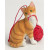 Ginger & White Cat