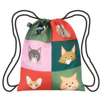 Backpacks (2)