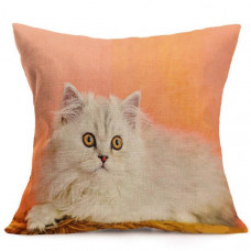 Chinchilla Cat Cushion